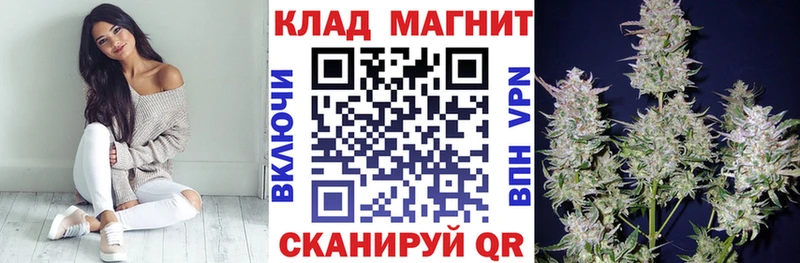 Где купить Няндома Бошки Шишки МЕФ COCAIN АМФЕТАМИН МЕТАДОН ГАШИШ
