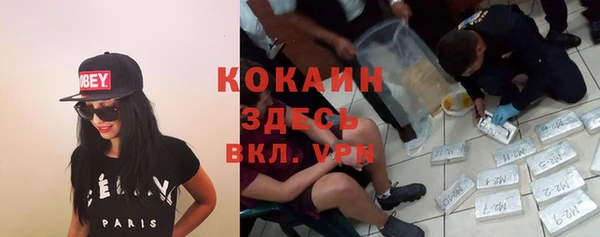 бошки Богданович
