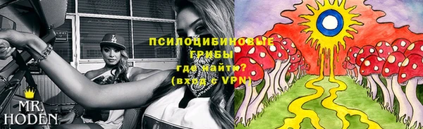 бошки Богданович