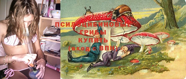 spice Верхний Тагил
