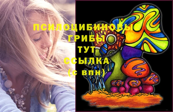метадон Богородицк