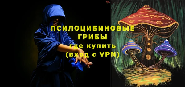 метадон Богородицк
